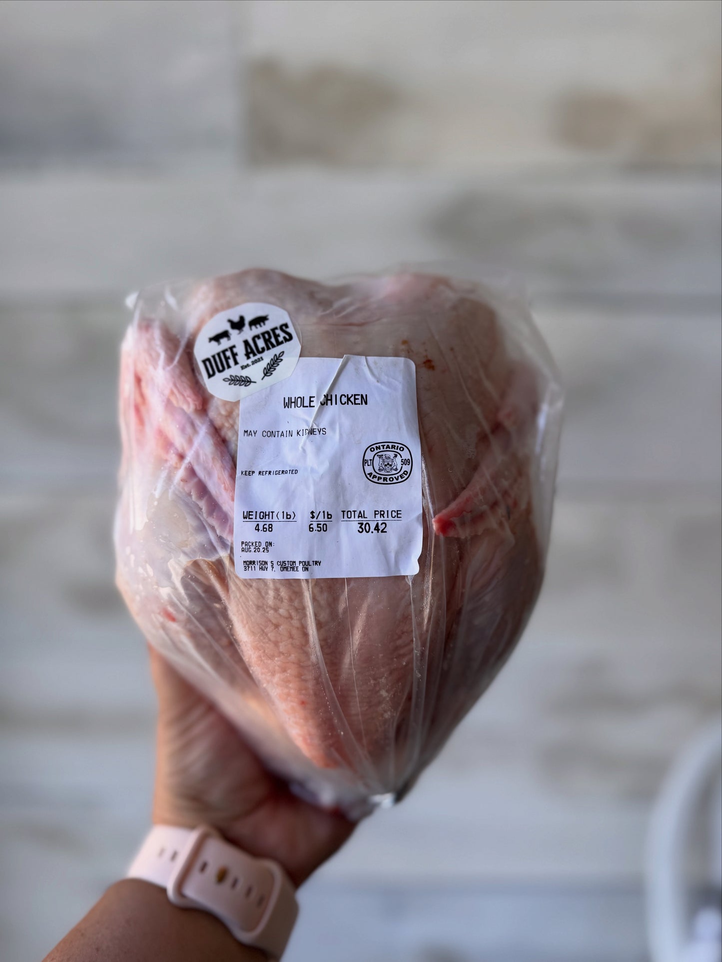 Pasture Raised Whole Chicken