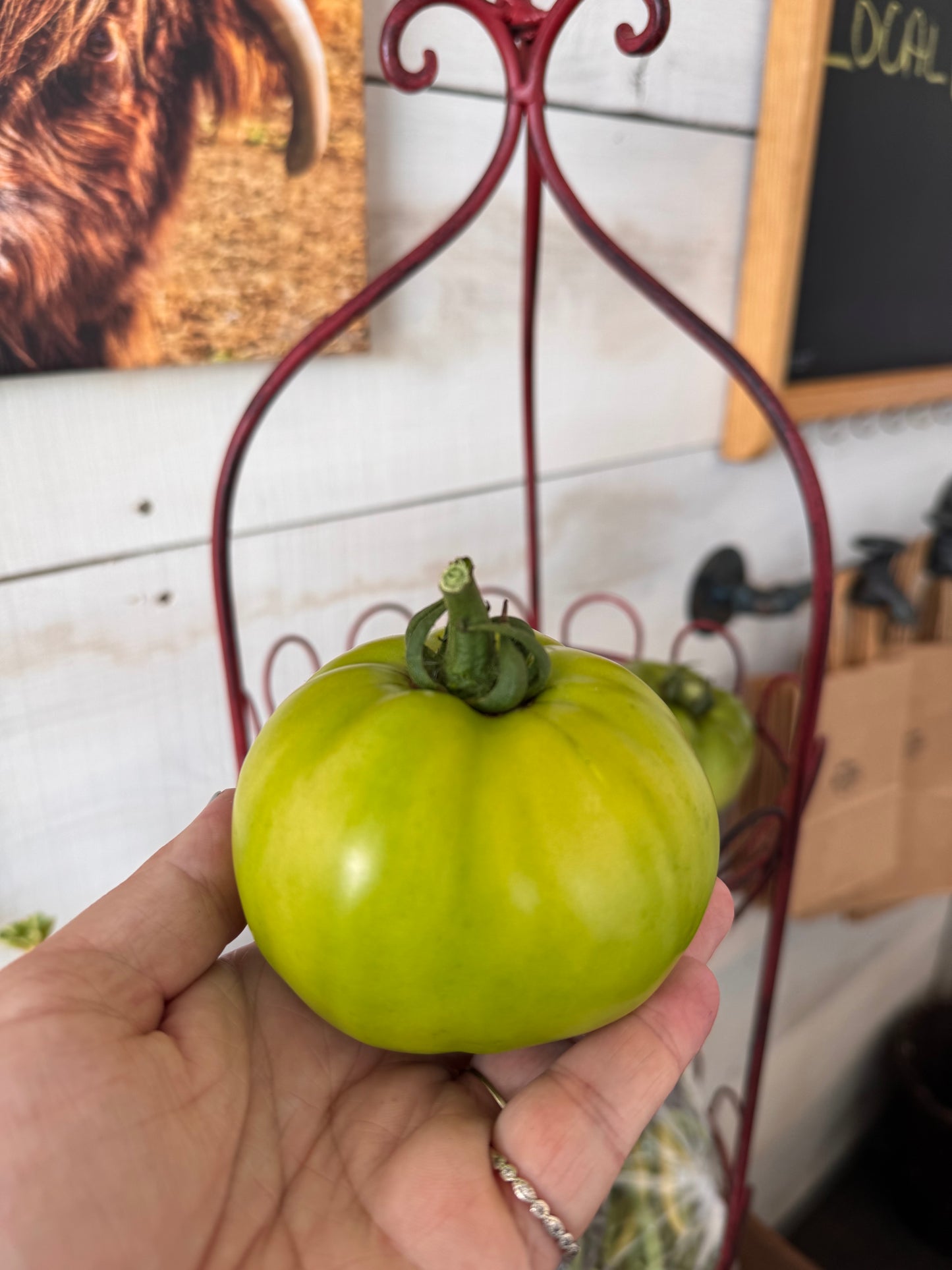 Tomatoes
