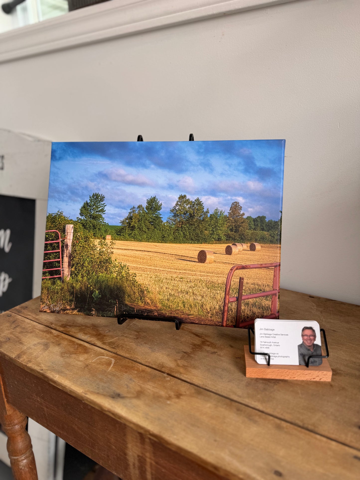 12x16 Canvas Print