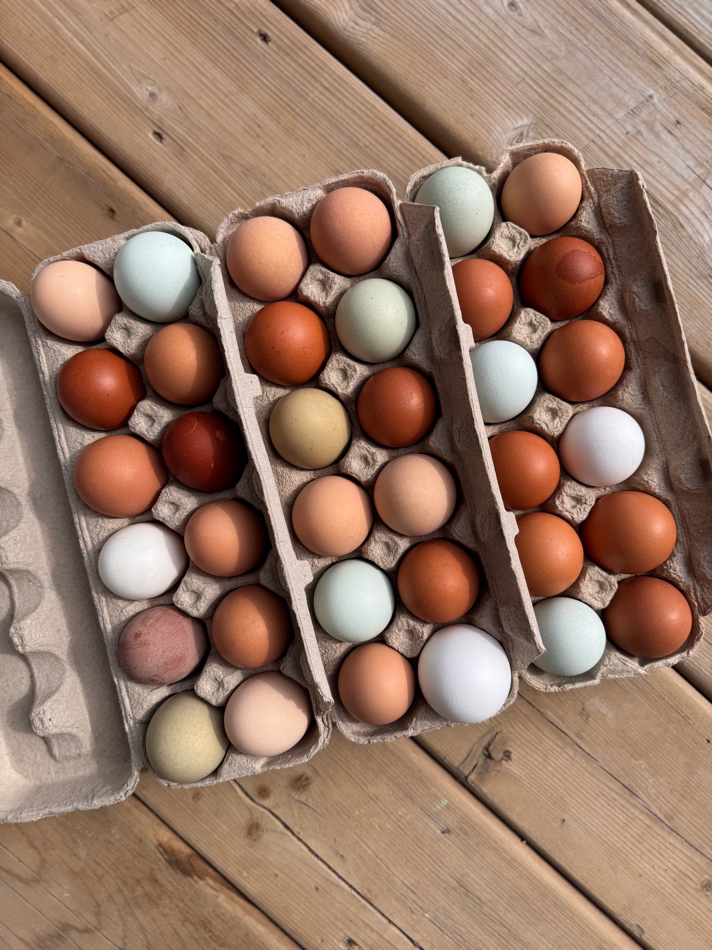 Pasture Raised Eggs