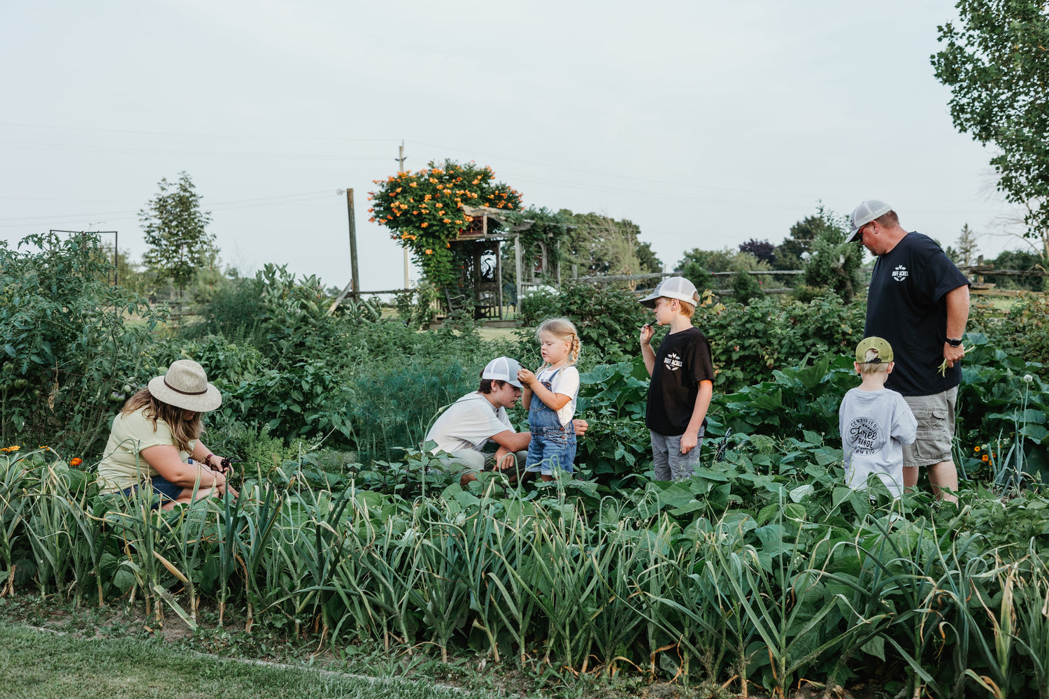 Fresh Seasonal Produce