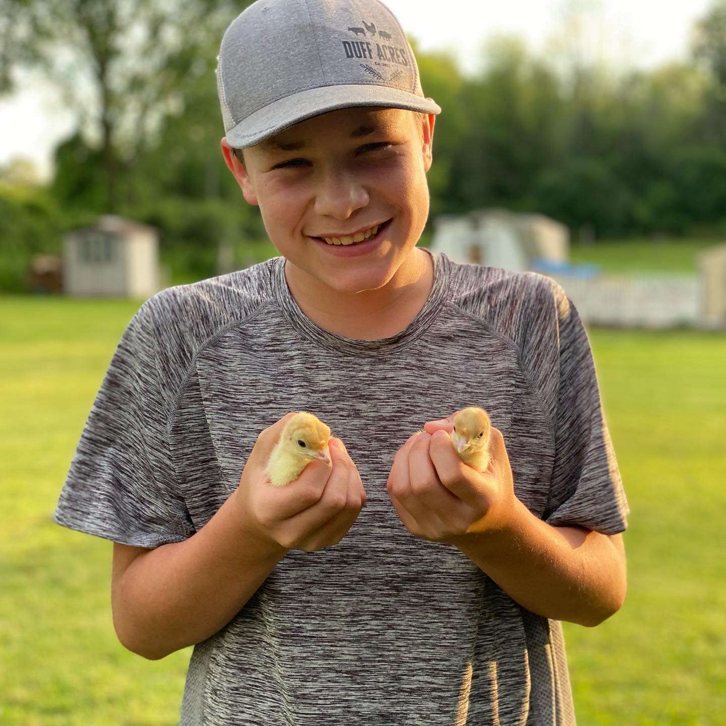 Poultry