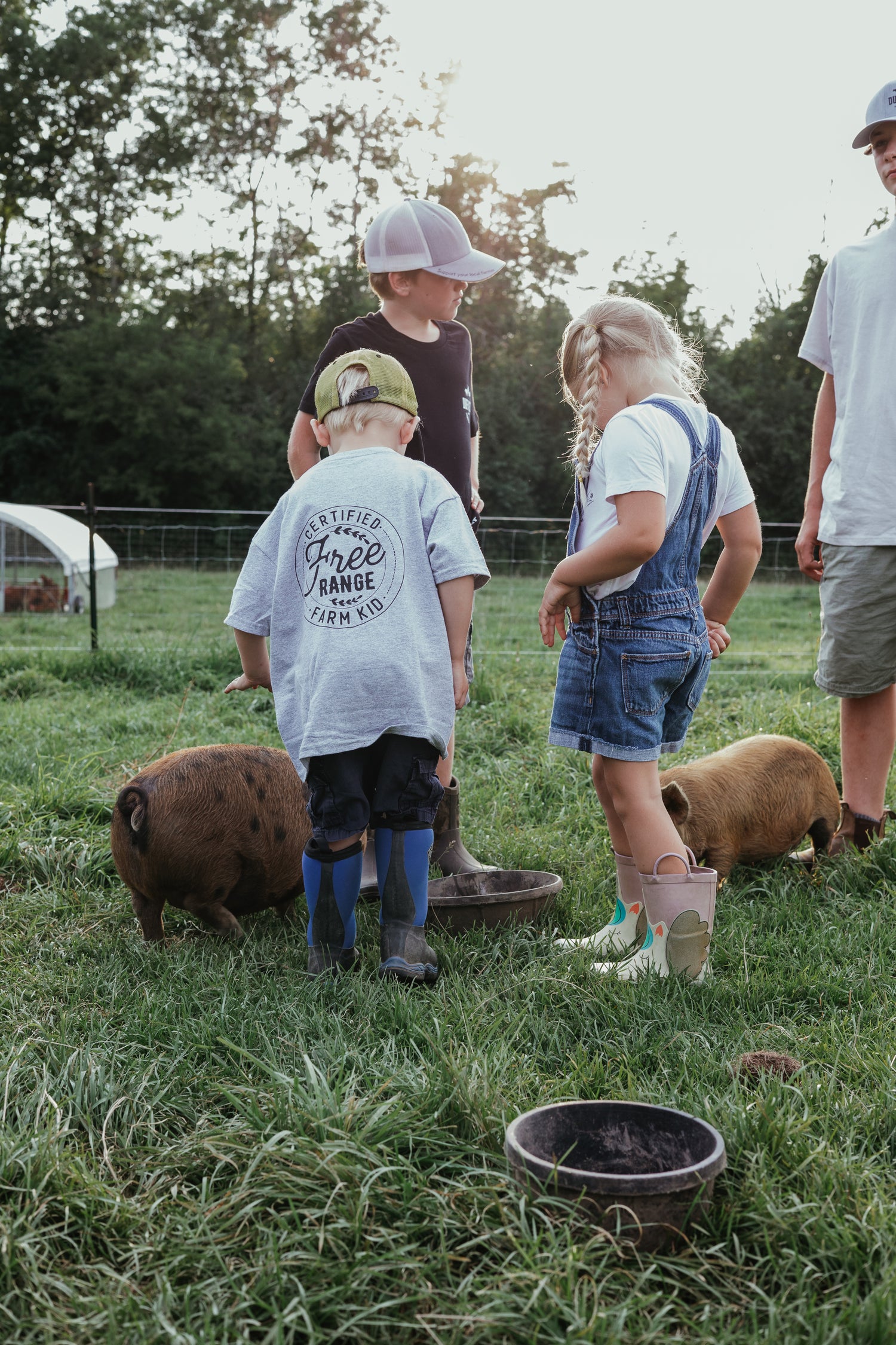 Pork