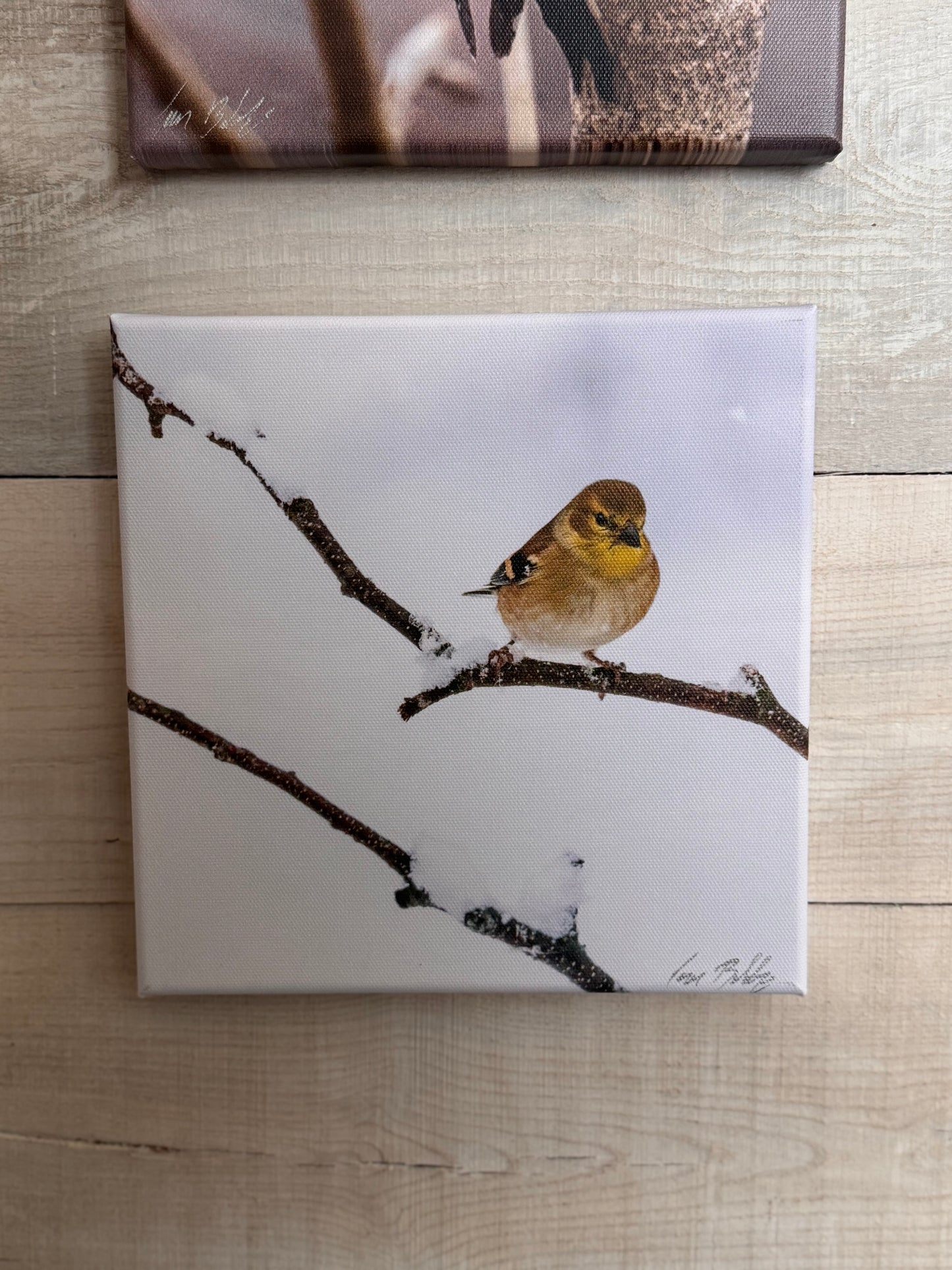 Jim Babbage Creative Services - Canvas Prints