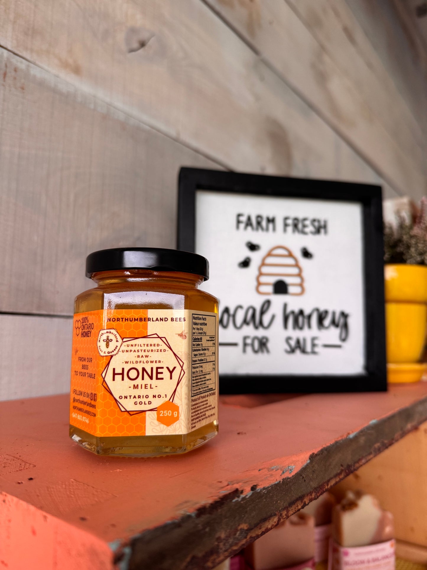 Local Ontario Honey