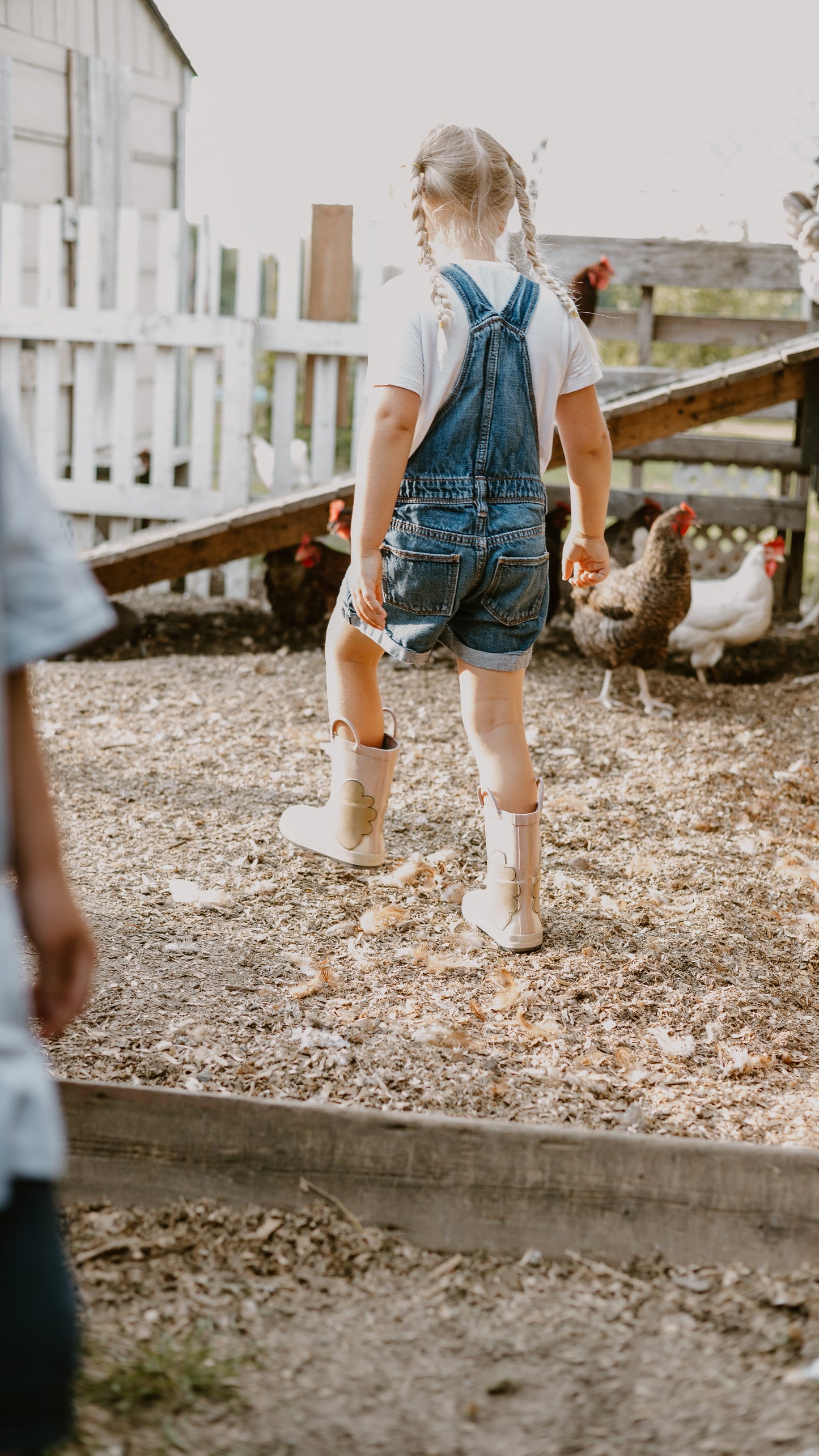1 Dozen Pasture Raised Eggs