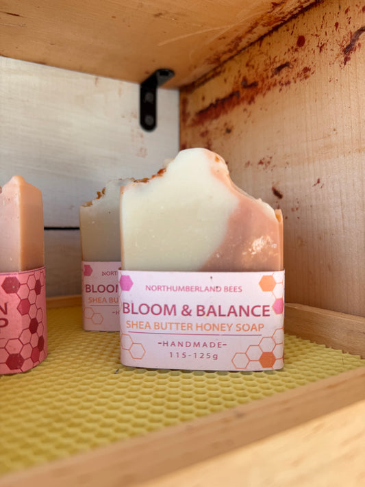 Bloom & Balance - Shea Butter Honey Soap