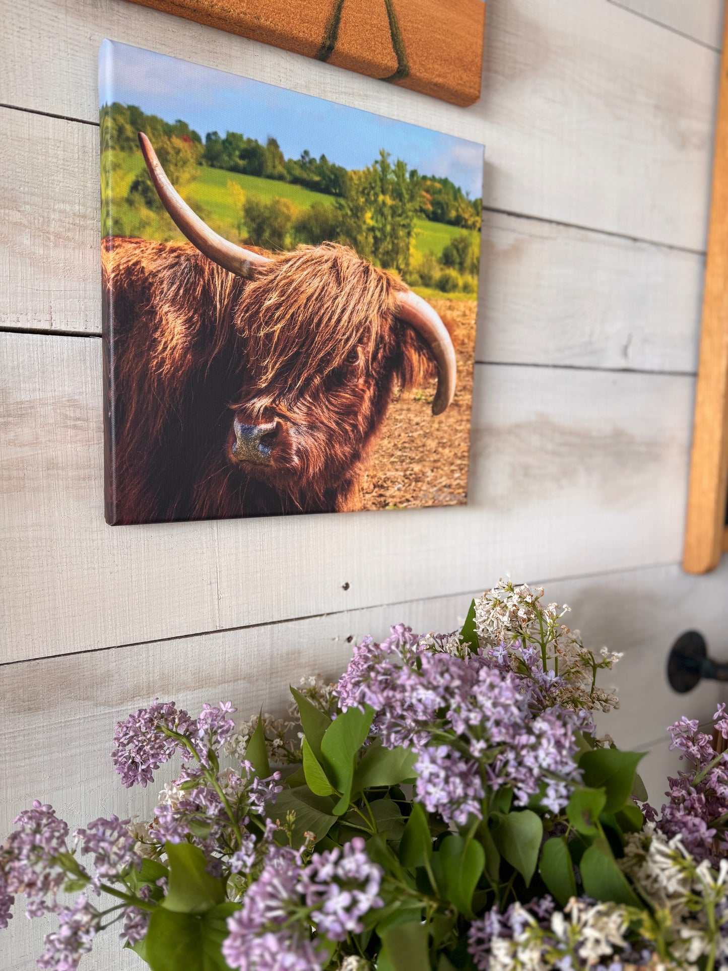 Jim Babbage Creative Services - Canvas Prints