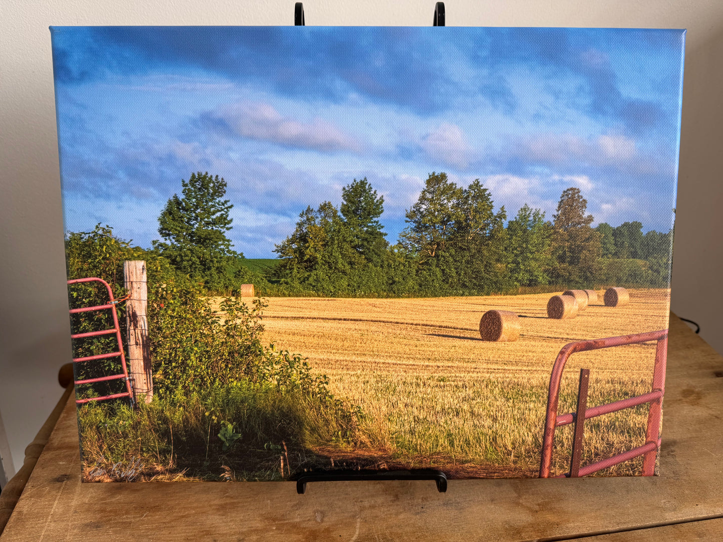 Jim Babbage Creative Services - Canvas Prints