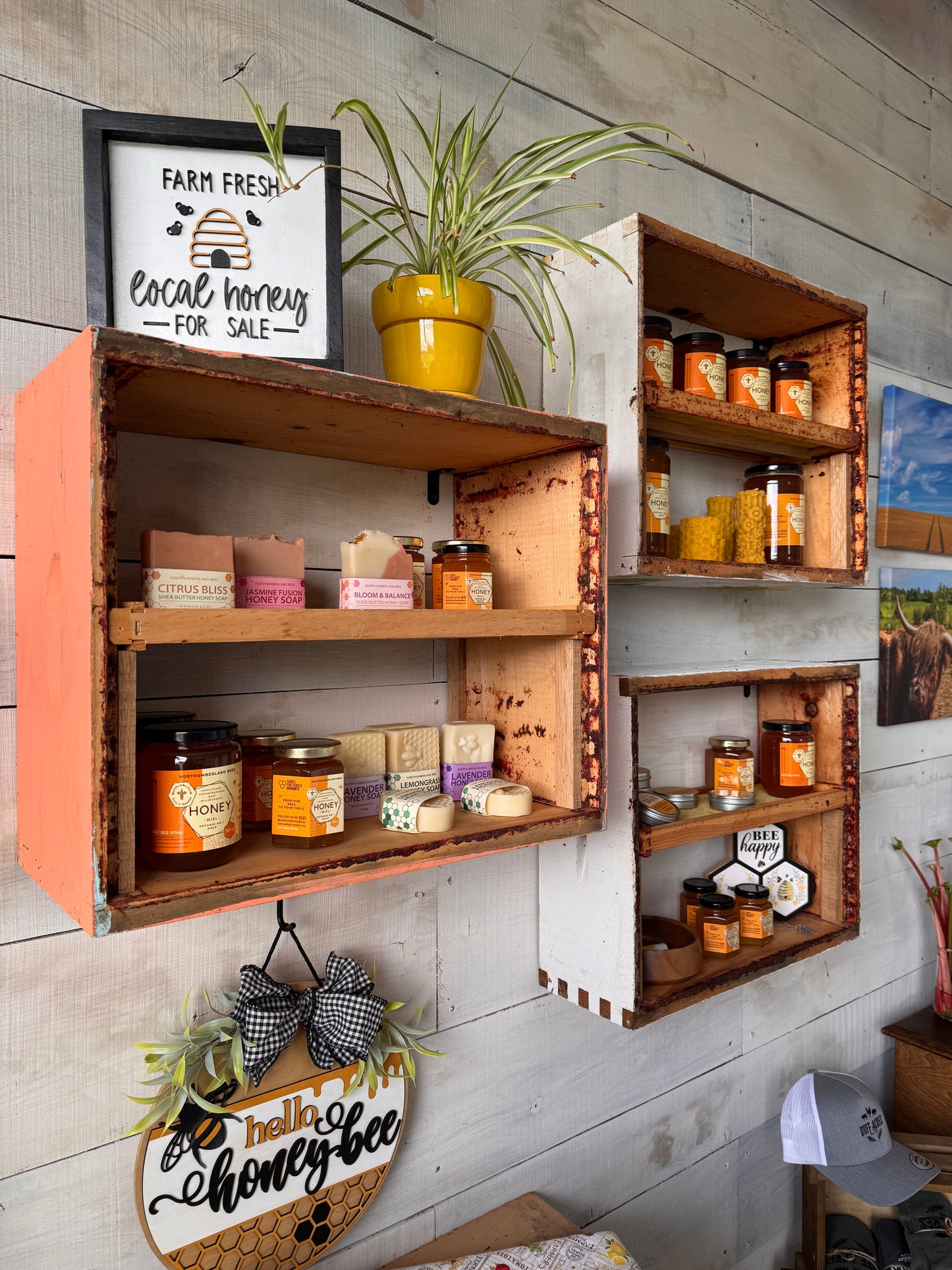 Northumberland Bees - Candles & Skincare