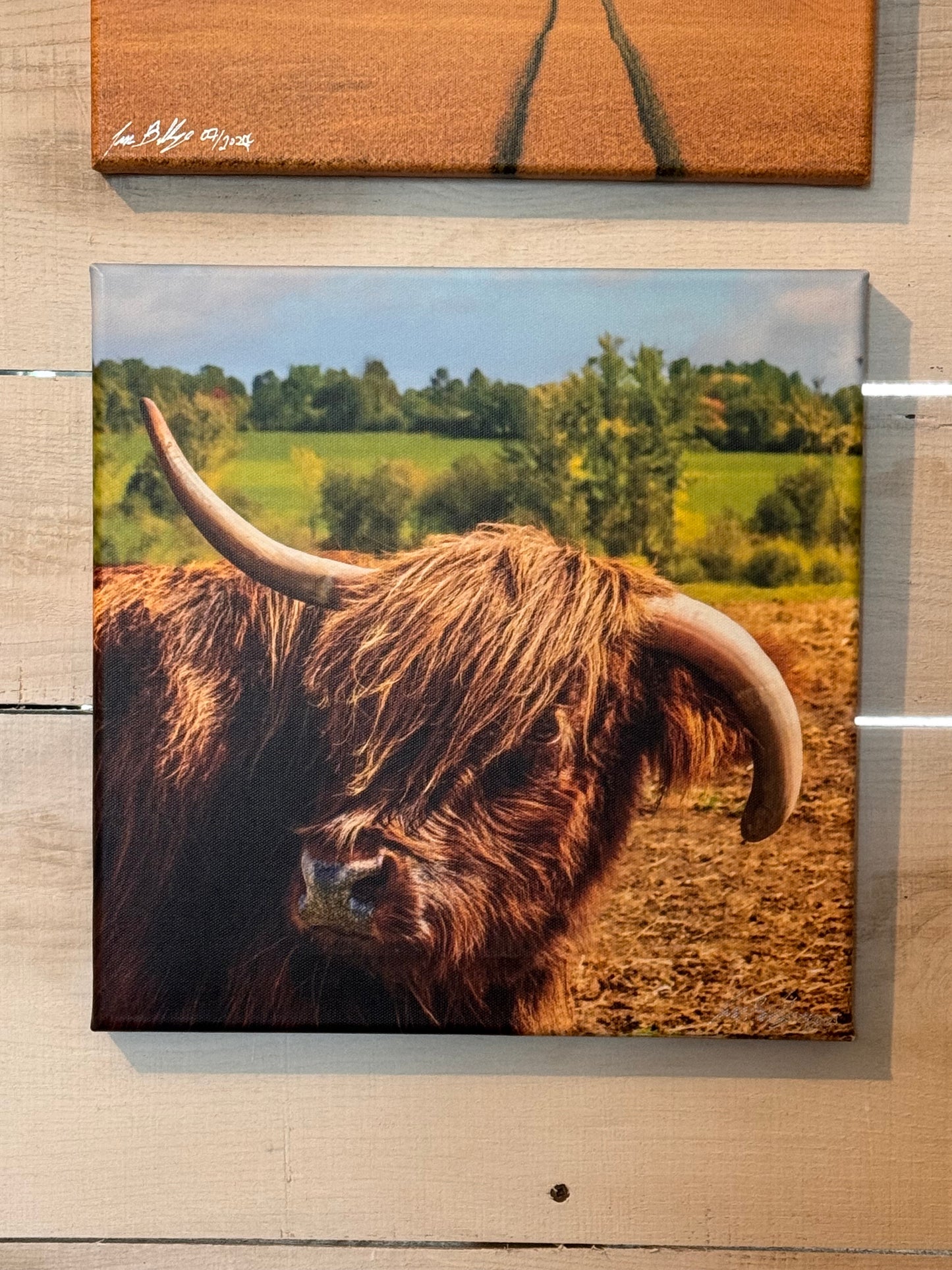 12x12 Canvas Print