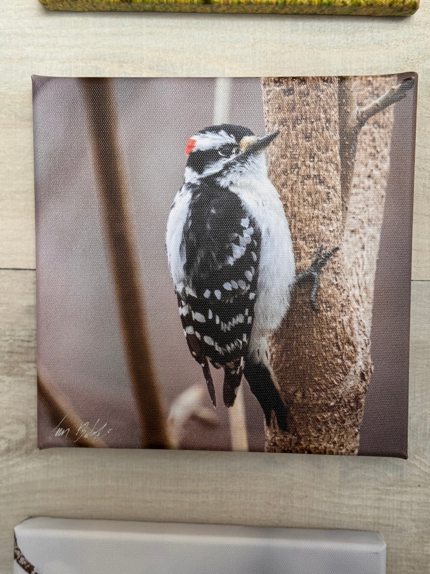 Jim Babbage Creative Services - Canvas Prints