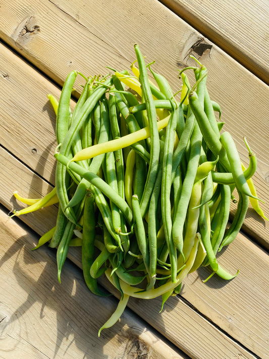 Beans