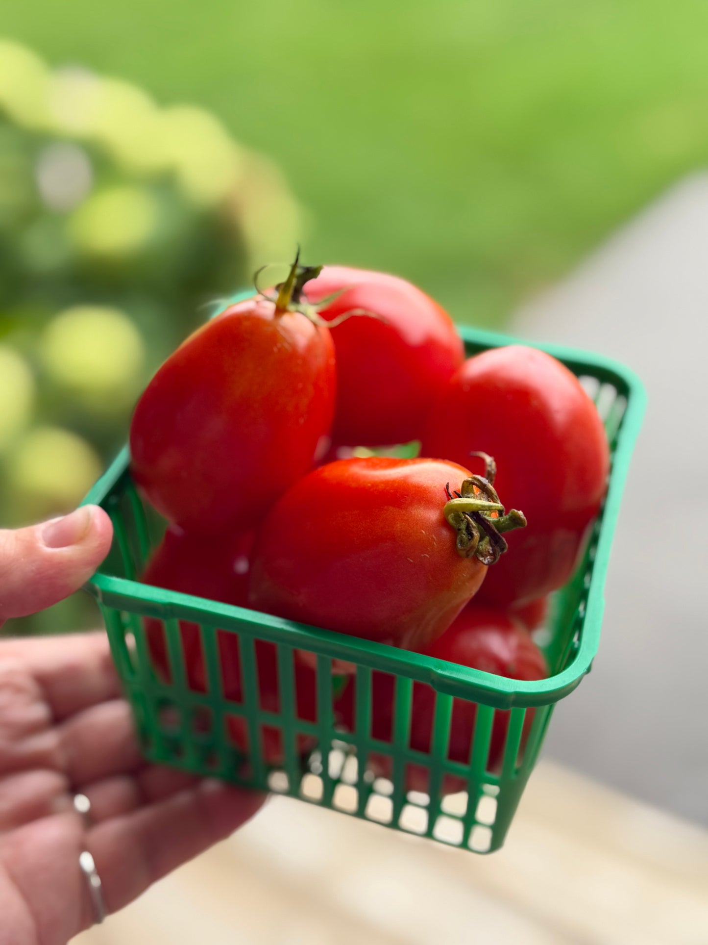 Tomatoes