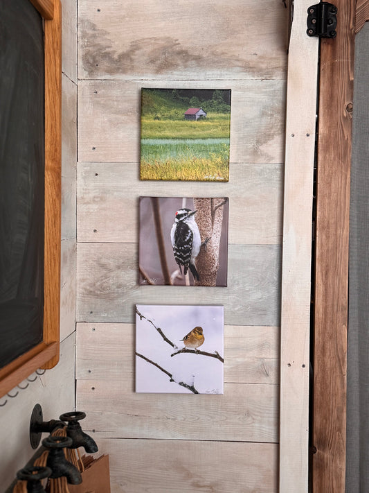 8x8 Canvas Print