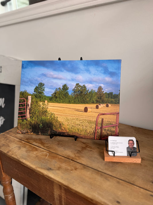 12x16 Canvas Print
