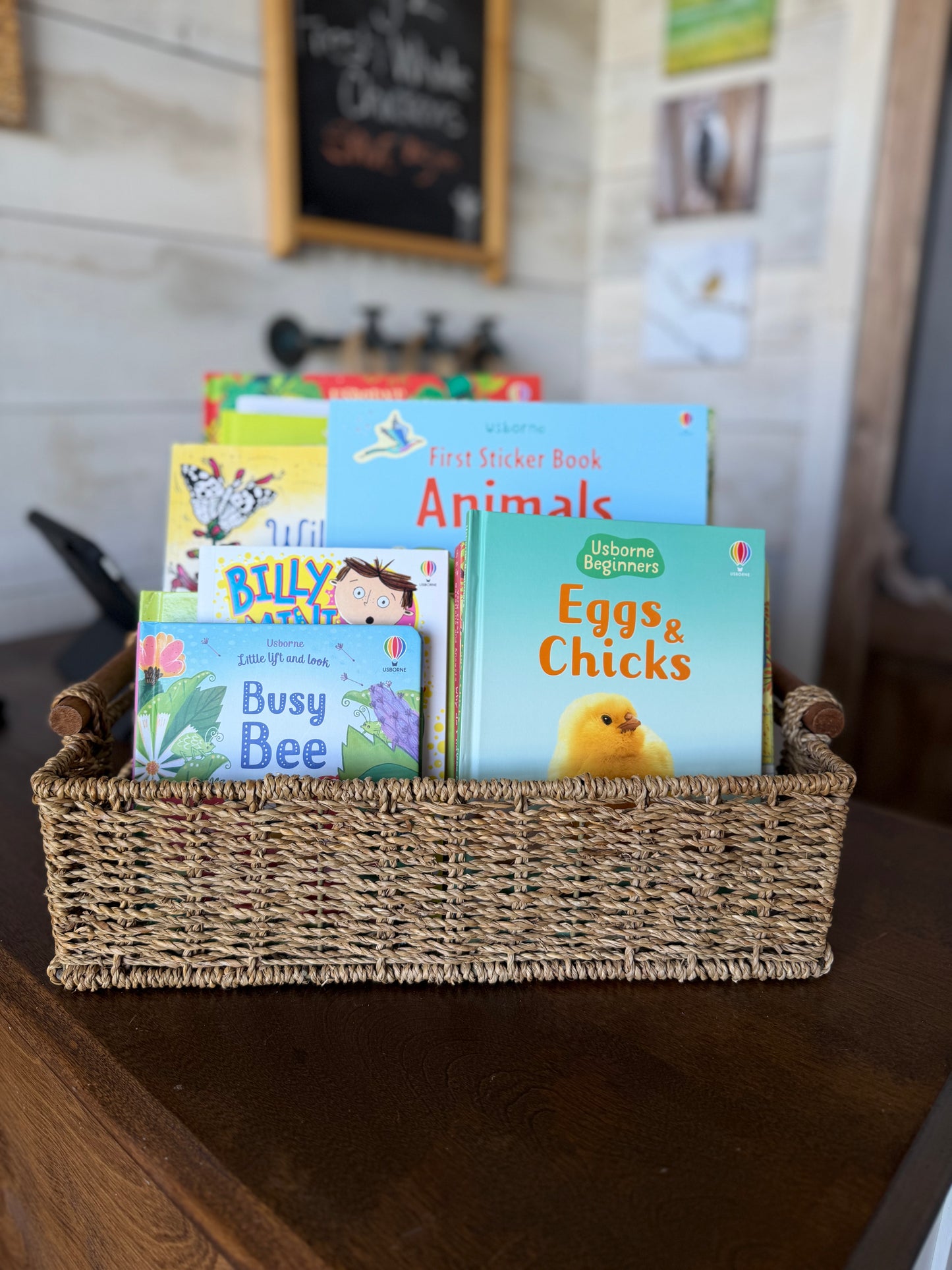 Usborne Books & Puzzles