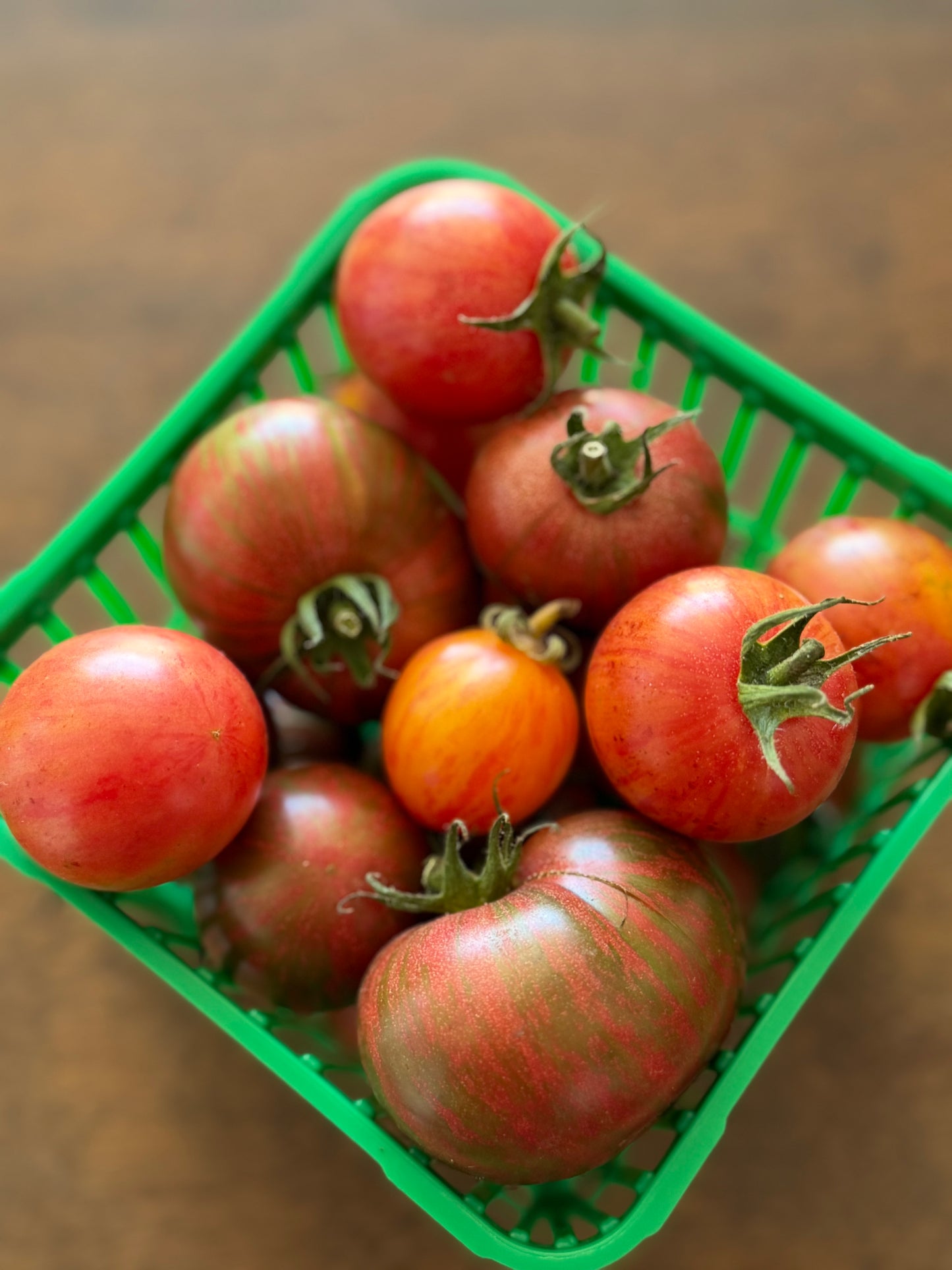 Tomatoes