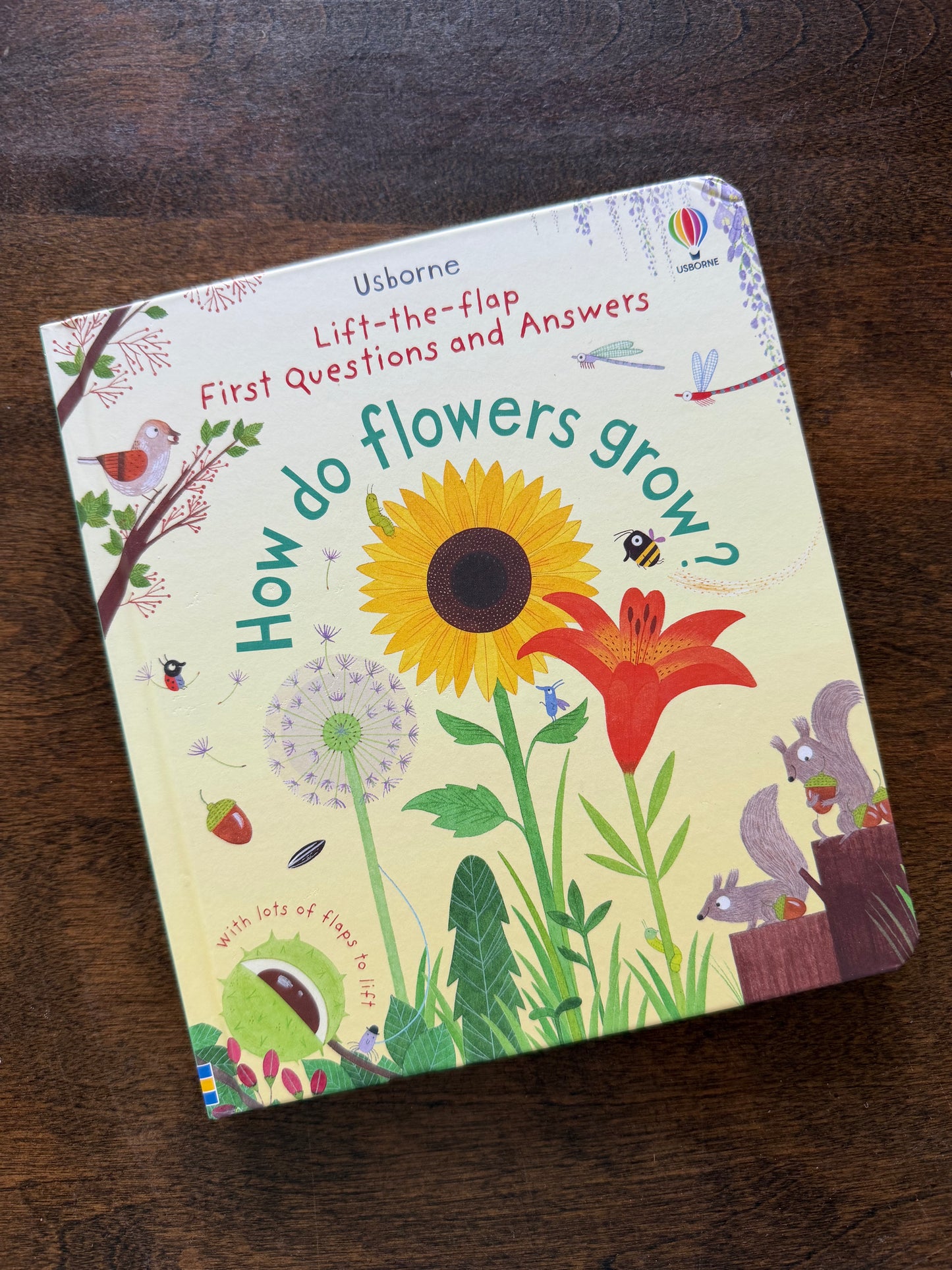 Usborne Books & Puzzles