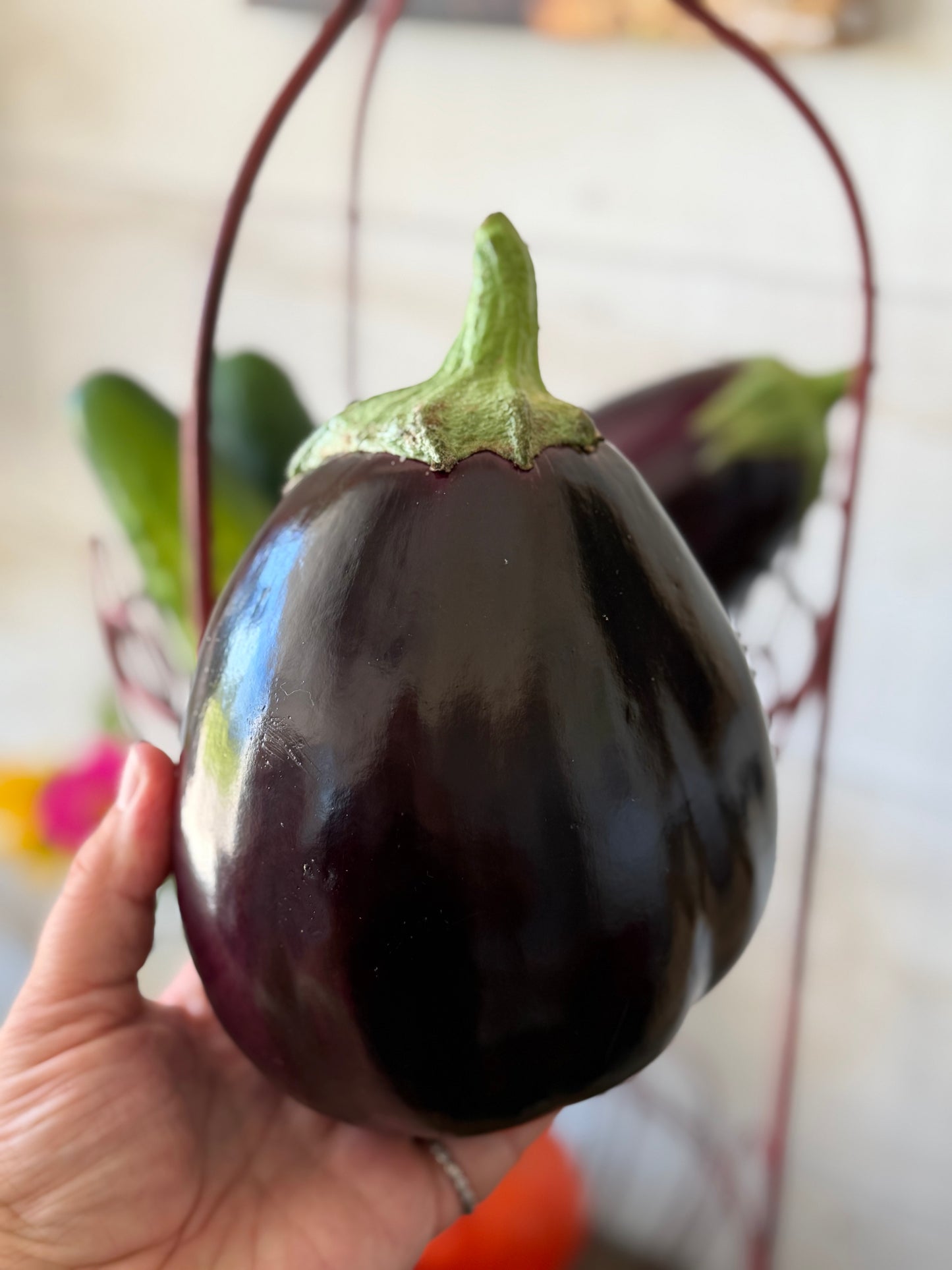 Eggplant