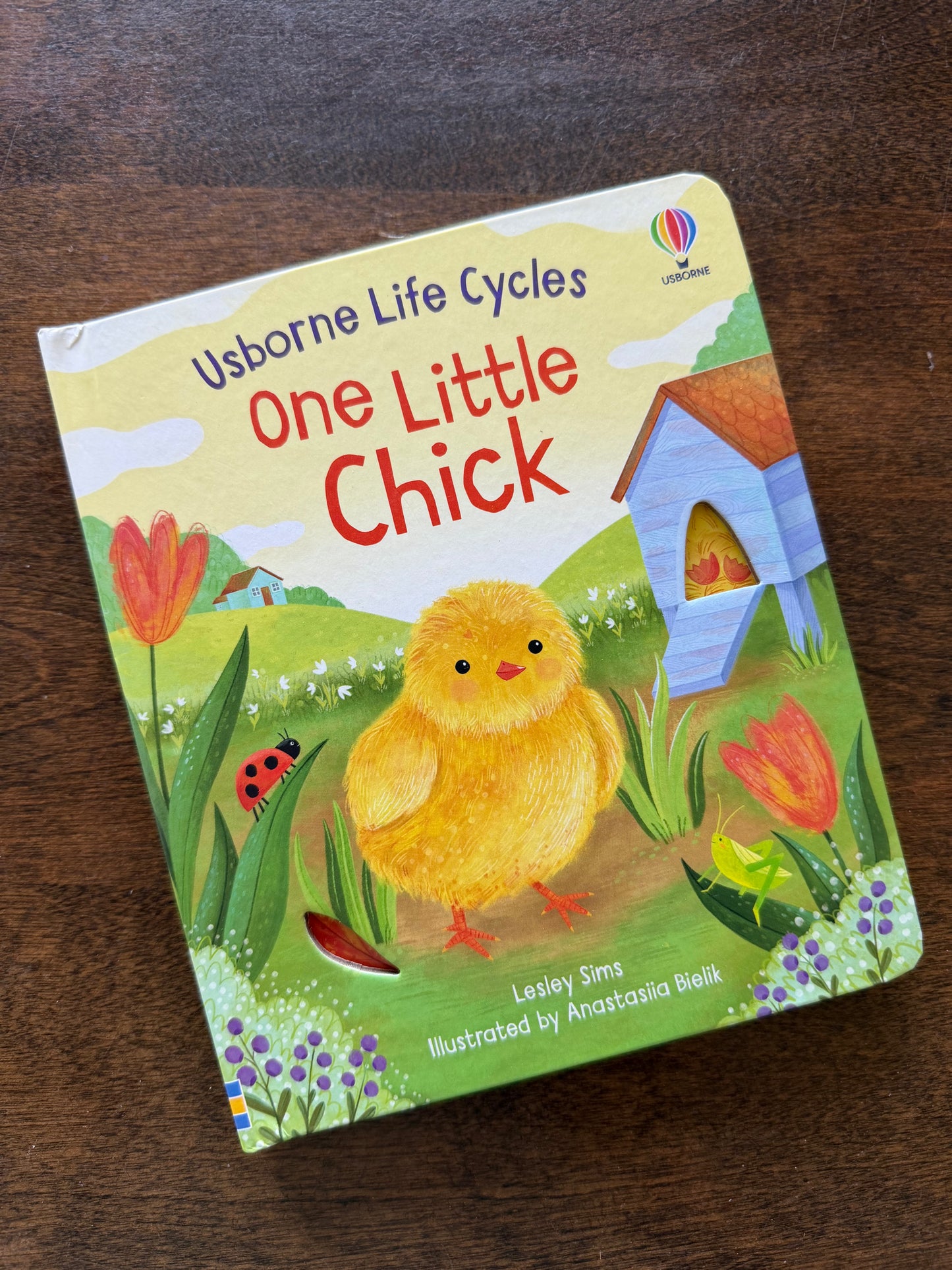 Usborne Books & Puzzles