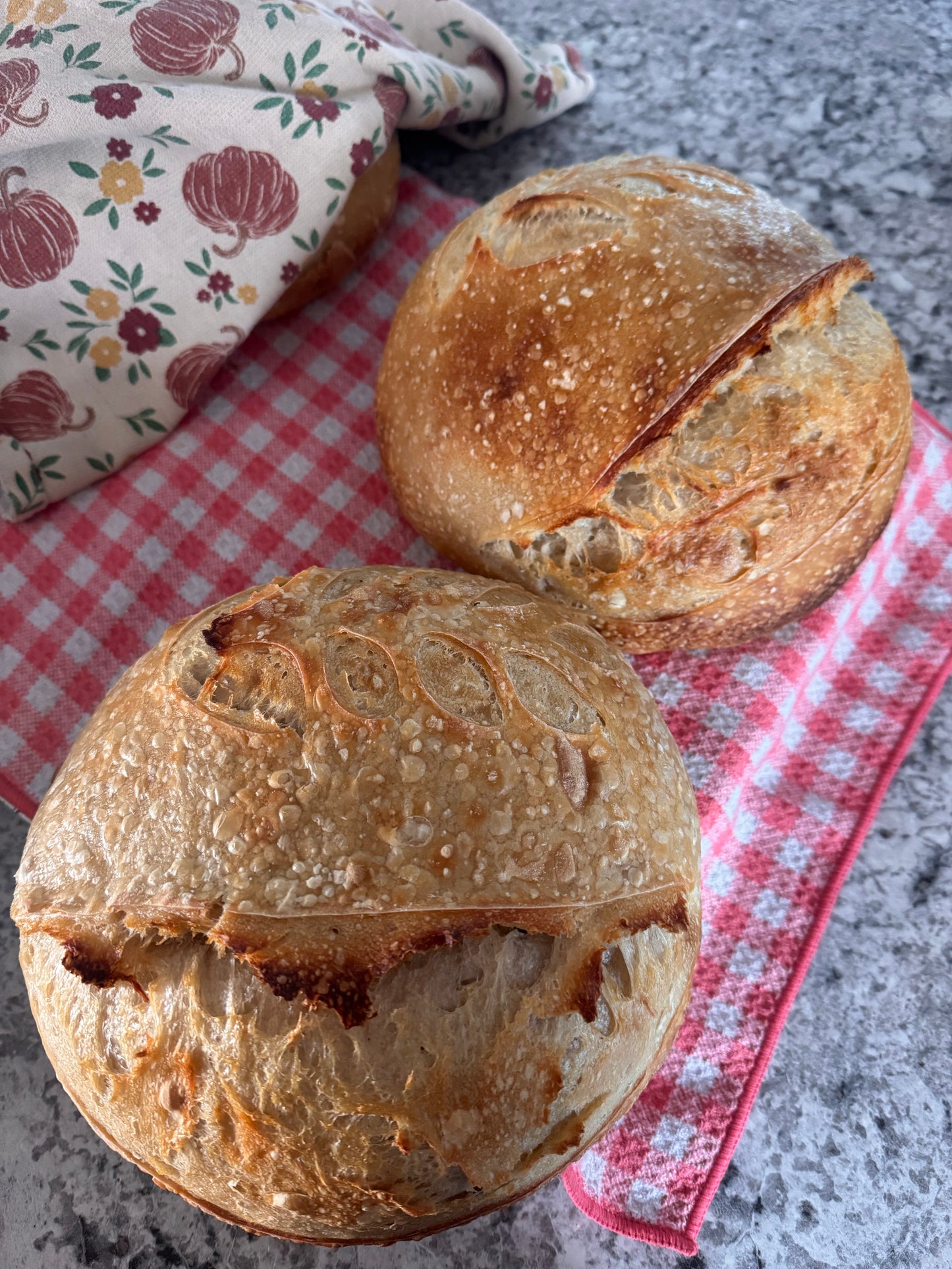 Sourdough Loaves
