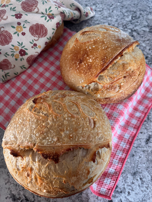 Sourdough Loaves