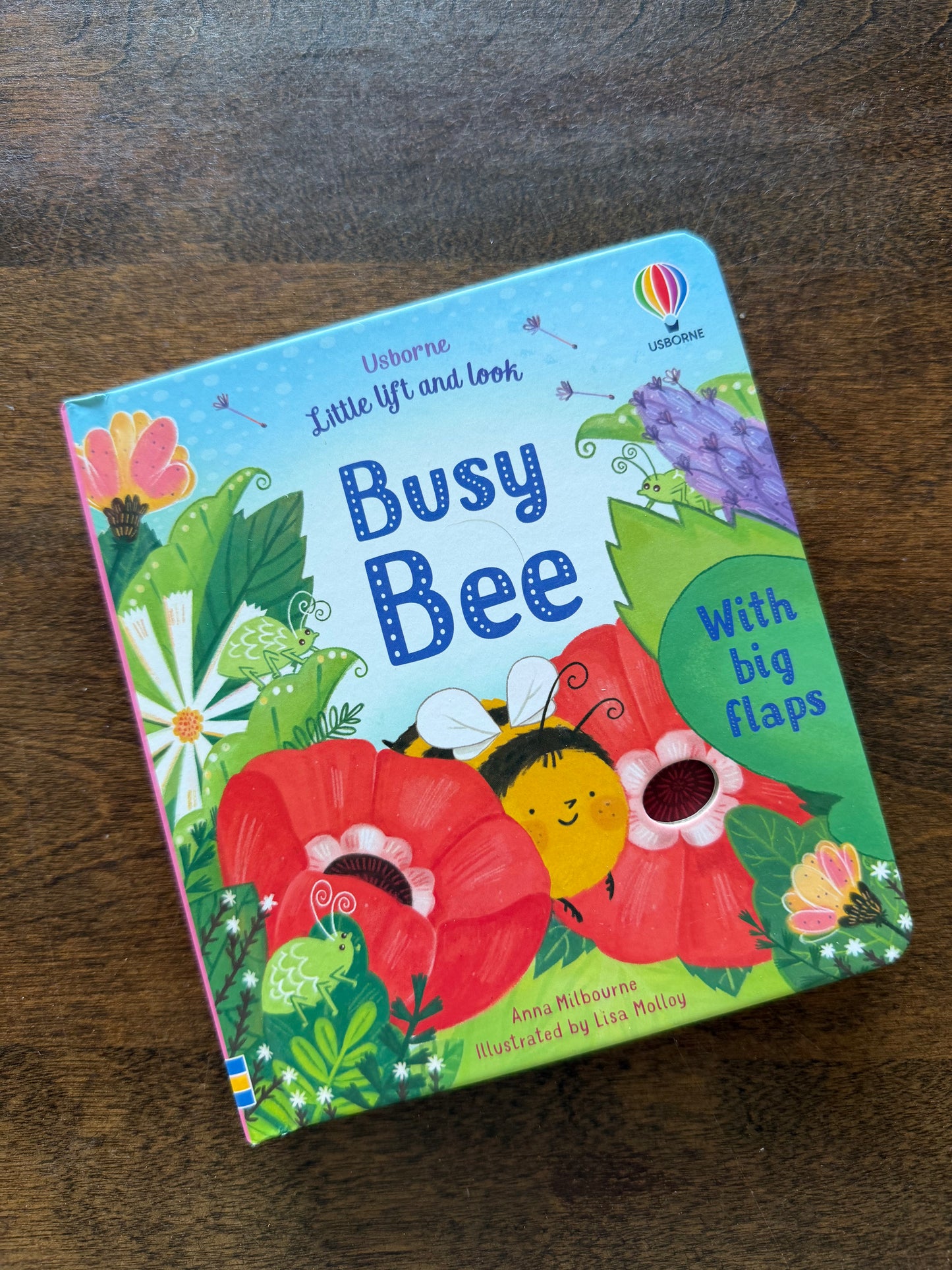 Usborne Books & Puzzles